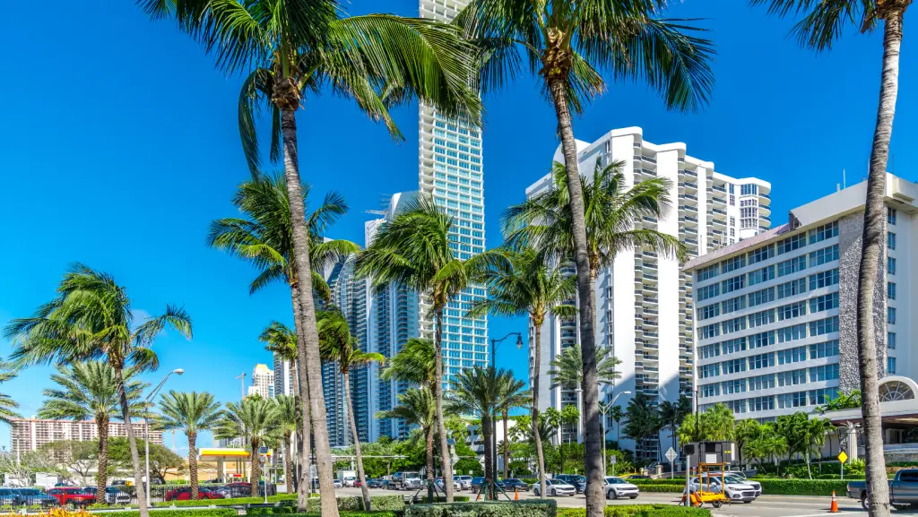 best cleaning company south florida
