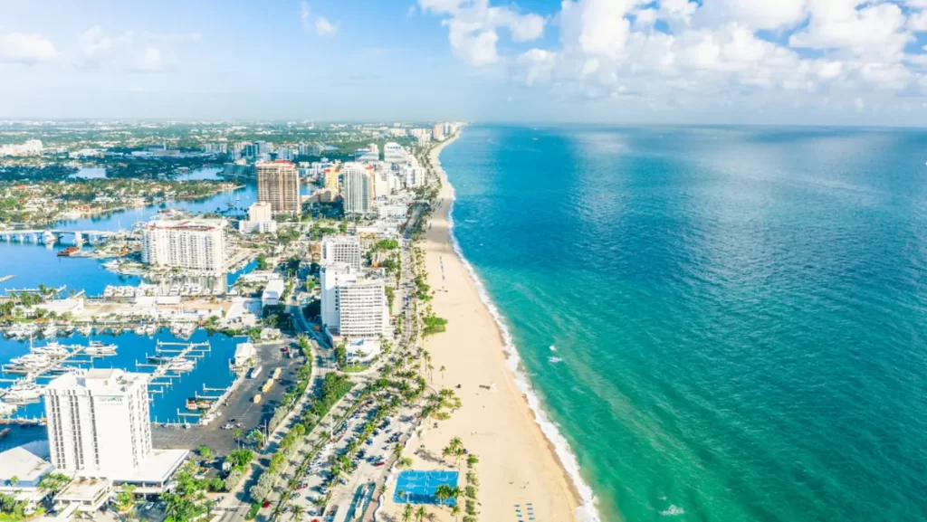 davie fl cleaning services