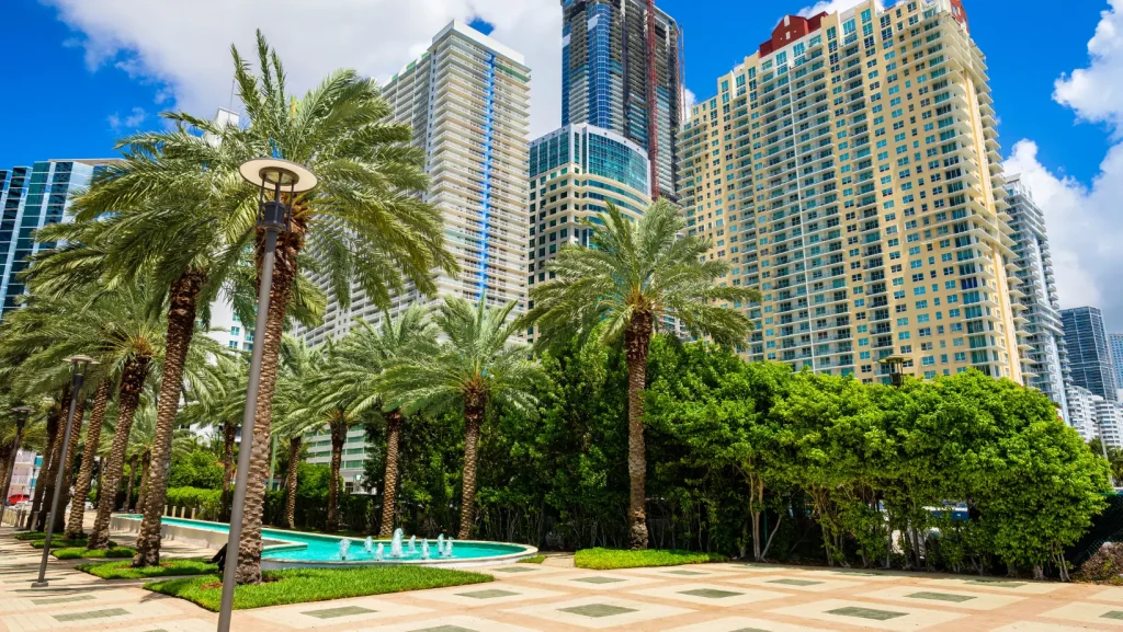 downtown miami cleaning company