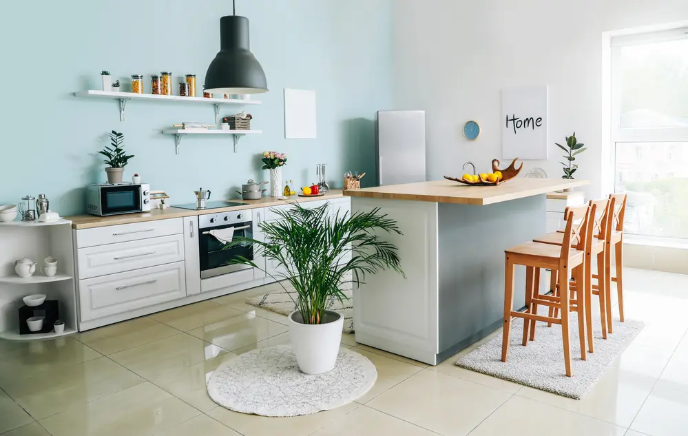 Customized Clean for Your New Orleans Neighborhood