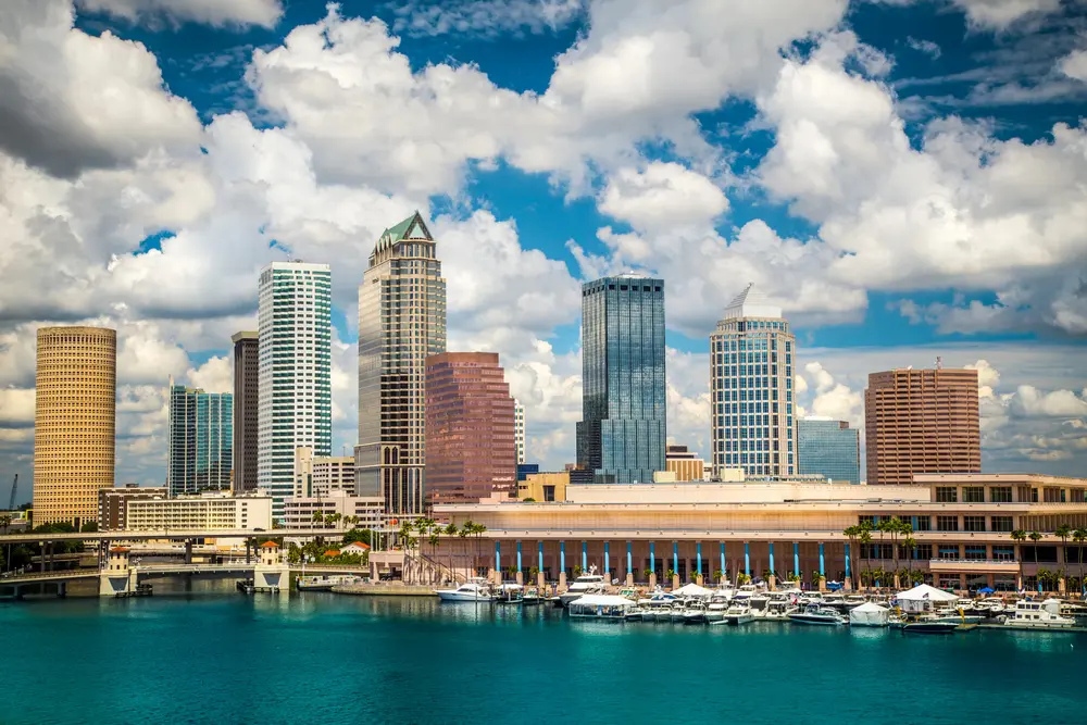 Eco-Friendly Cleanliness for Your Tampa Bay, FL Property
