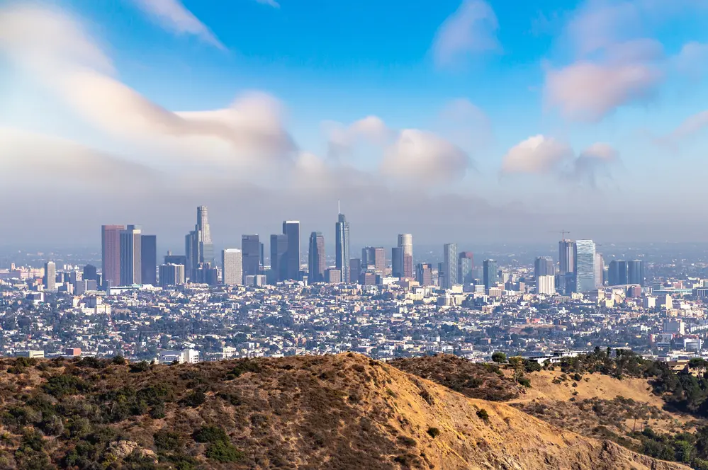 Pro Cleaning Services for Los Angeles, CA