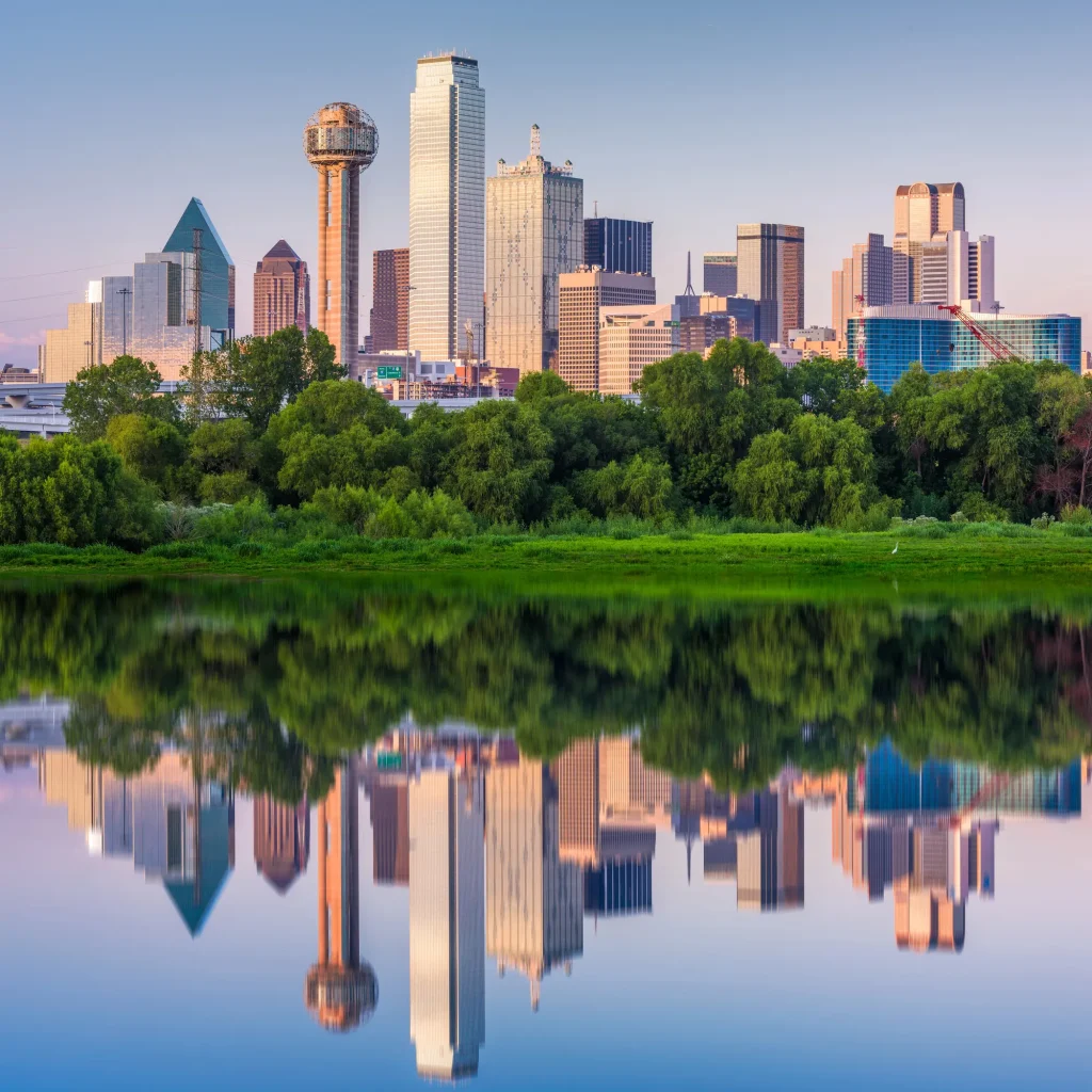 Professional Cleaning Services for Dallas, TX, Residents