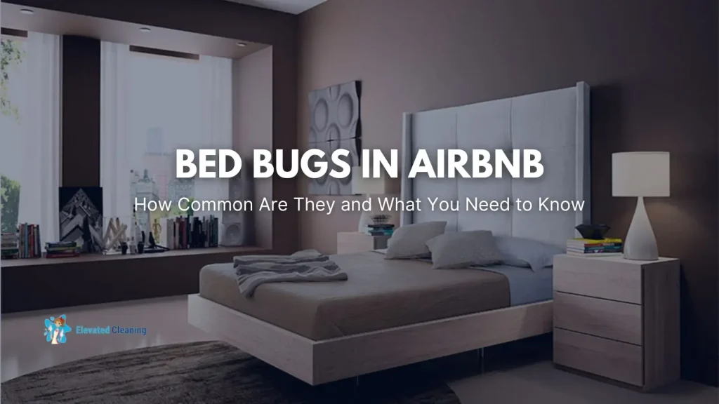 Bed Bugs In Airbnb: How Common Are They And What You Need To Know 2 How Common Are Bed Bugs In Airbnb