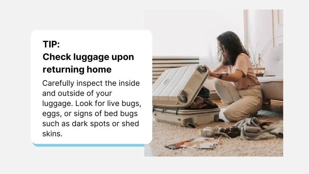 Bed Bugs In Airbnb: How Common Are They And What You Need To Know 3 How To Handle Bed Bugs In Airbnb
