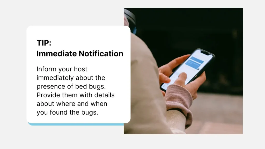Bed Bugs In Airbnb: How Common Are They And What You Need To Know 2 Report Bed Bugs To Your Host ASAP