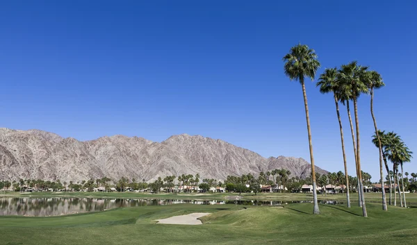 Elevated Cleaning Services For Palm Springs
